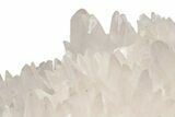 Fluorescent, Scalenohedral Calcite Crystals on Pyrite - Peru #218928-4